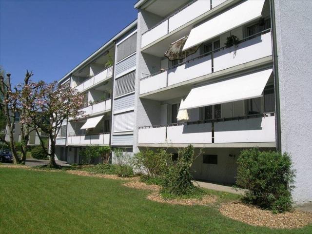 Apartment mieten in Telli, Aarau