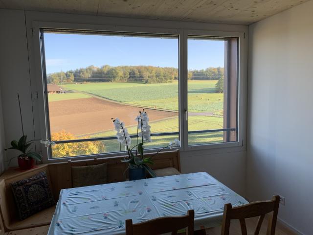 Apartment mieten in Im Gheid, Regensdorf