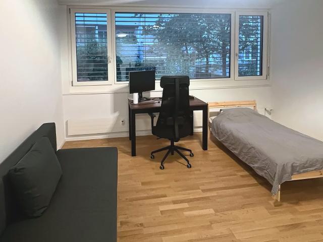 Apartment mieten in Grossbasel, Basel