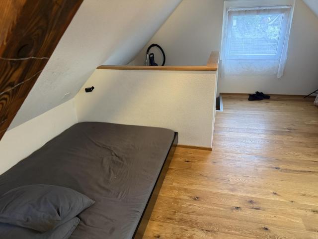 Apartment mieten in Birsfelden, Basel-Landschaft