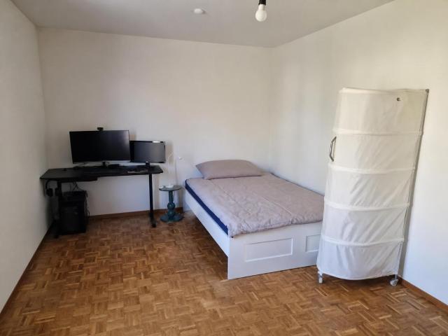 Apartment mieten in Carouge (GE)