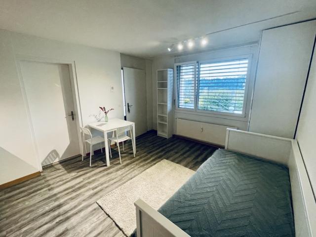 Apartment mieten in Lü