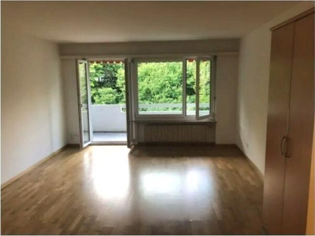 Apartment mieten in Forch, Küsnacht (ZH)