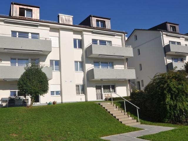 Apartment mieten in Hedingen, Zürich