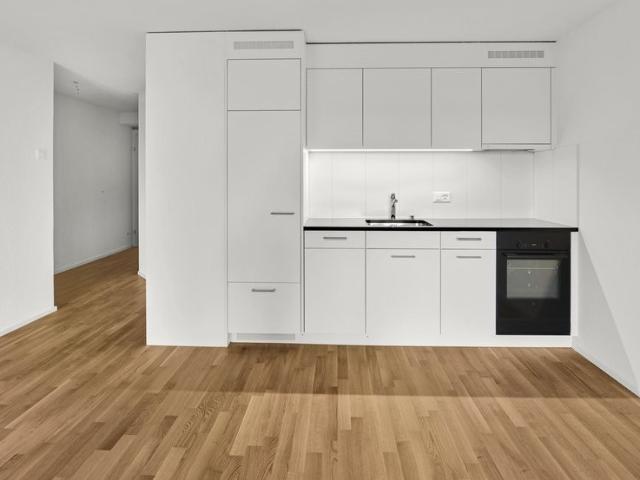 Apartment mieten in Rapperswil-Jona, St. Gallen