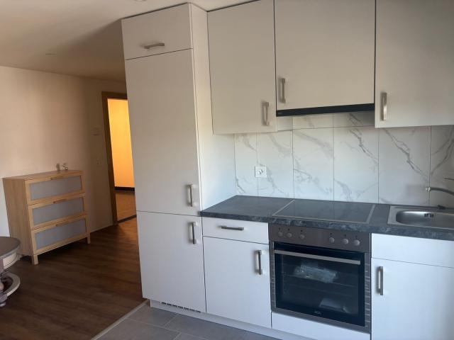 Apartment mieten in La Chaux-de-Fonds