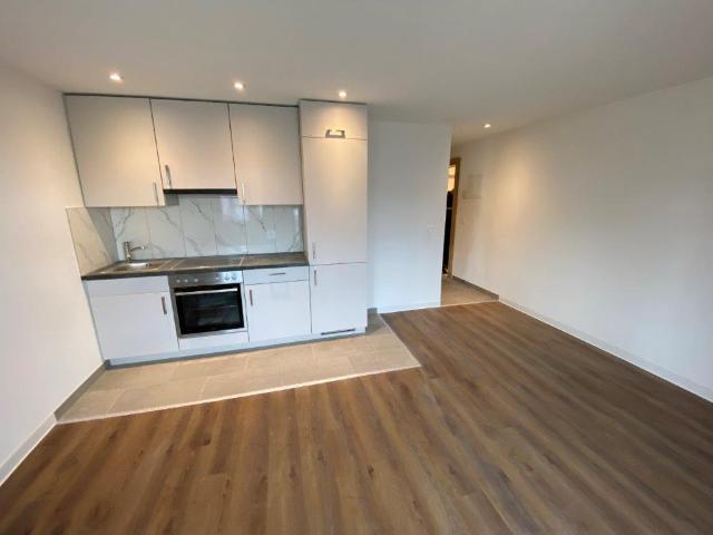 Apartment mieten in La Chaux-de-Fonds