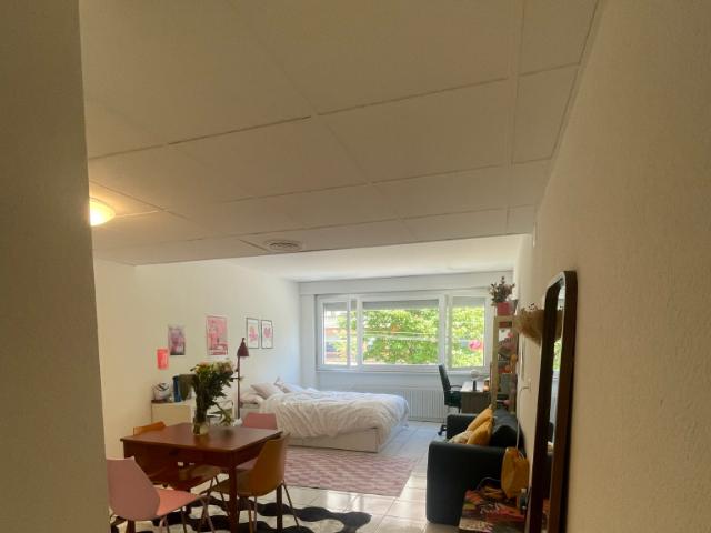 Apartment mieten in Cheseaux-Lausanne, Waadt