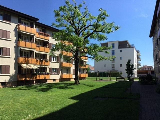 Apartment mieten in Lenzburg, Aargau