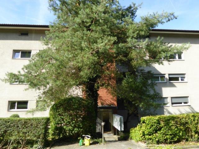 Apartment mieten in Liestal, Basel-Landschaft