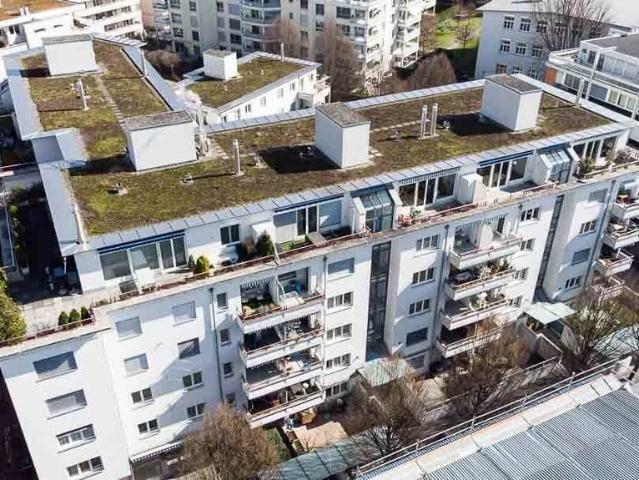 Apartment mieten in Tribschen, Luzern