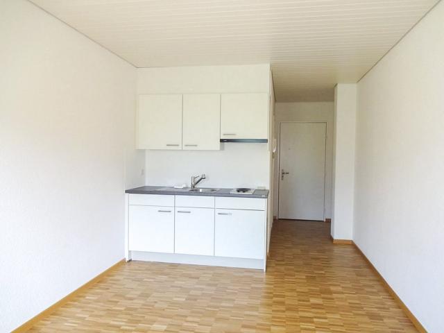 Apartment mieten in Muralto, Distretto di Locarno