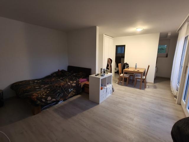 Apartment mieten in Olten, Solothurn