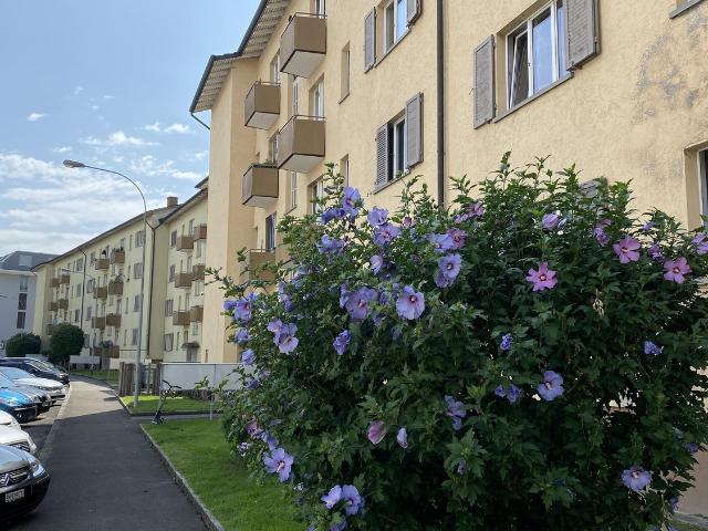 Apartment mieten in Schlieren, Zürich