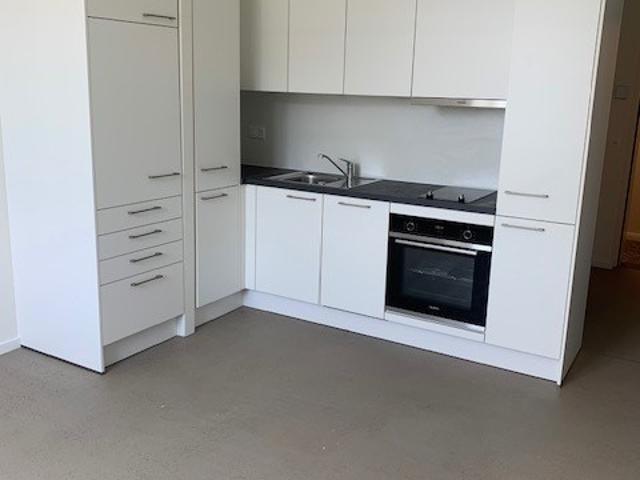 Apartment mieten in Solothurn