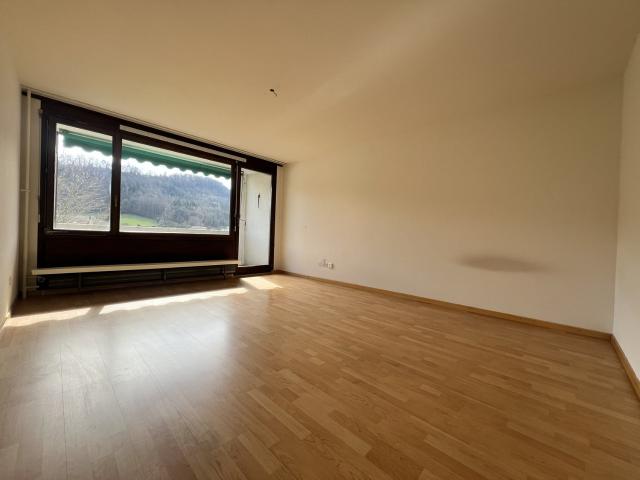 Apartment mieten in Trimbach, Solothurn