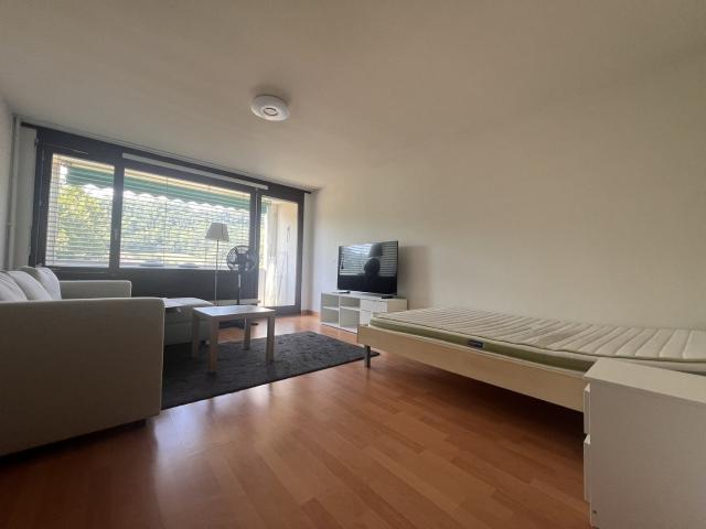 Apartment mieten in Trimbach, Solothurn
