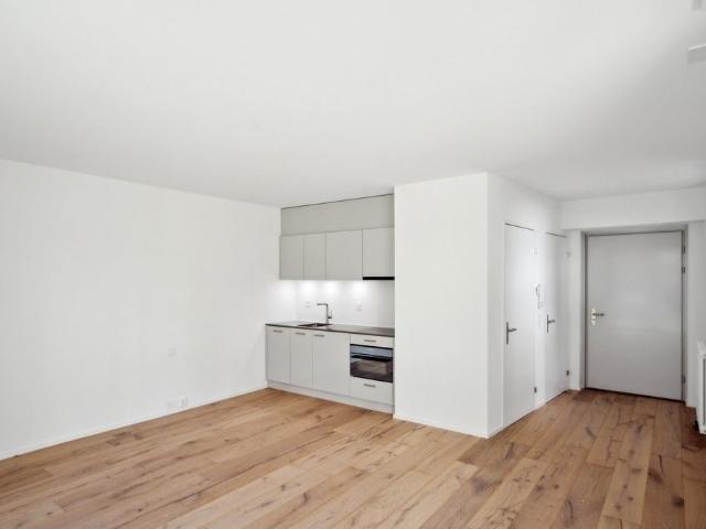 Apartment mieten in Einigen, Zürich