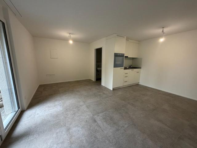 Apartment mieten in Einigen, Zürich
