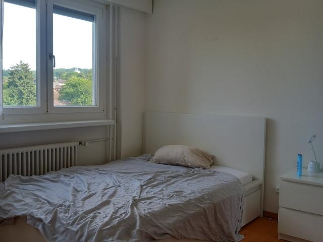 Apartment mieten in Einigen, Zürich