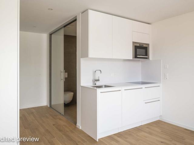 Apartment mieten in Einigen, Zürich