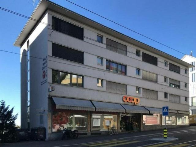 Apartment mieten in Einigen, Zürich
