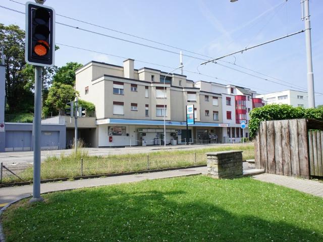 Apartment mieten in Einigen, Zürich