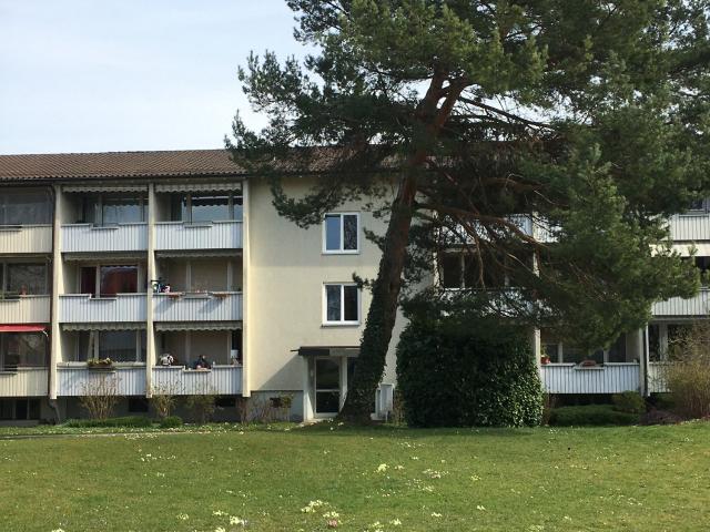 Apartment mieten in Saatlen, Zürich