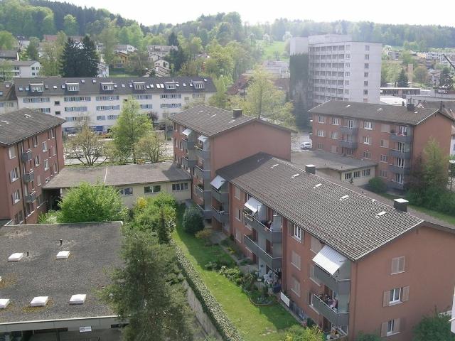 Apartment mieten in Einigen, Zürich