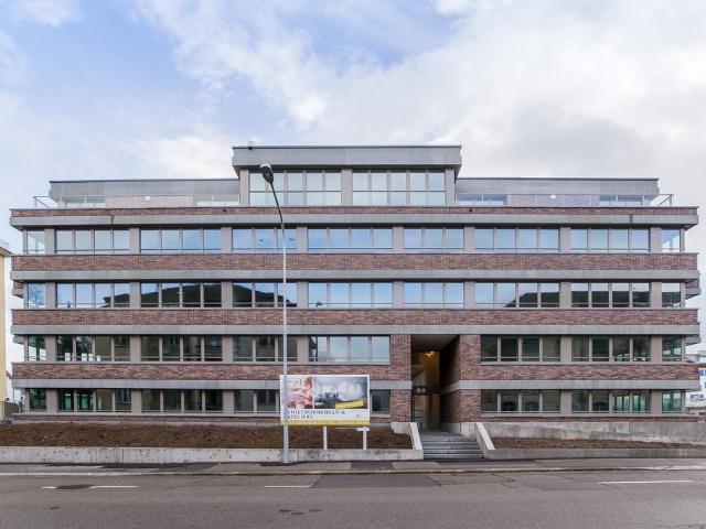 Apartment mieten in Einigen, Zürich