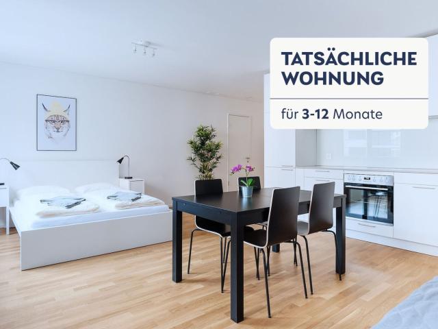 Apartment mieten in Basel, Basel-Stadt
