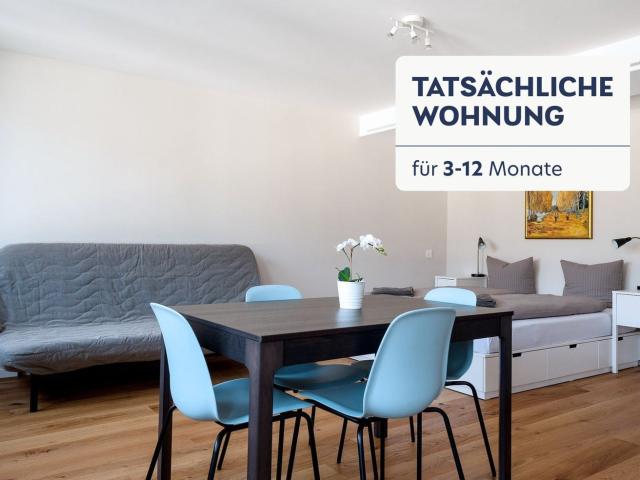 Apartment mieten in Grossbasel, Basel