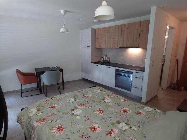 Apartment mieten in Crissier, Waadt
