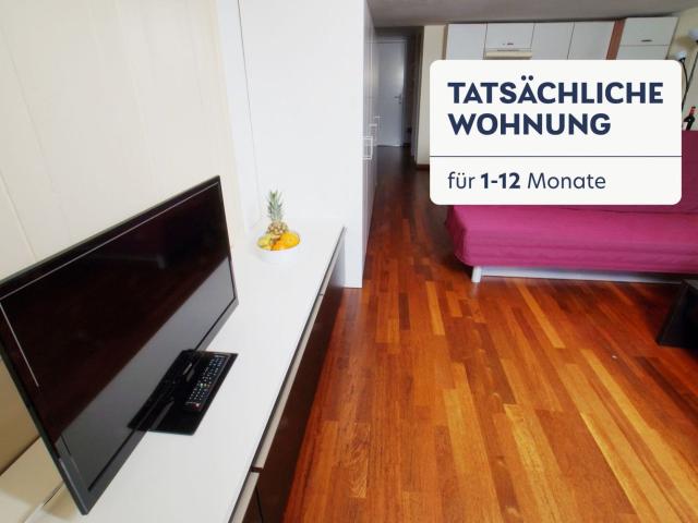 Apartment mieten in Rathaus, Zürich