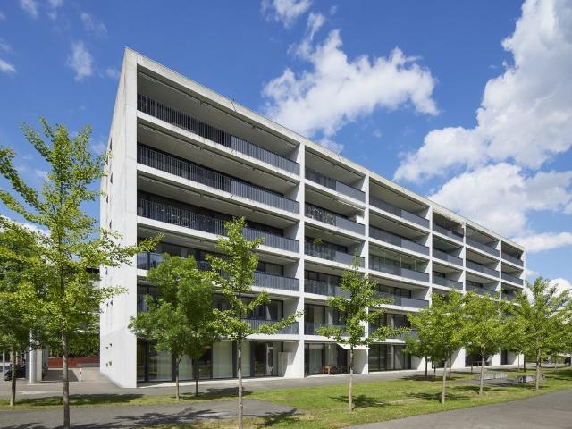 Apartment mieten in Aarau, Aargau