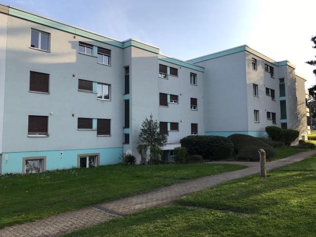Studio mieten in Oberglatt, Zürich