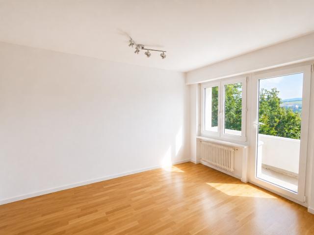 Apartment mieten in Adliswil, Zürich