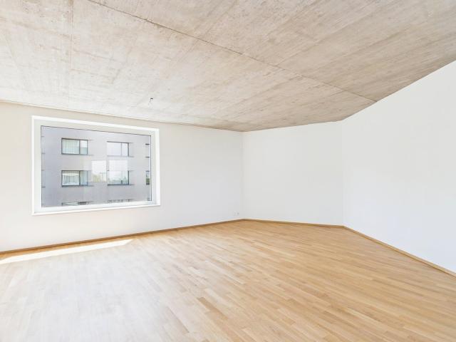 Apartment mieten in Grossbasel, Basel