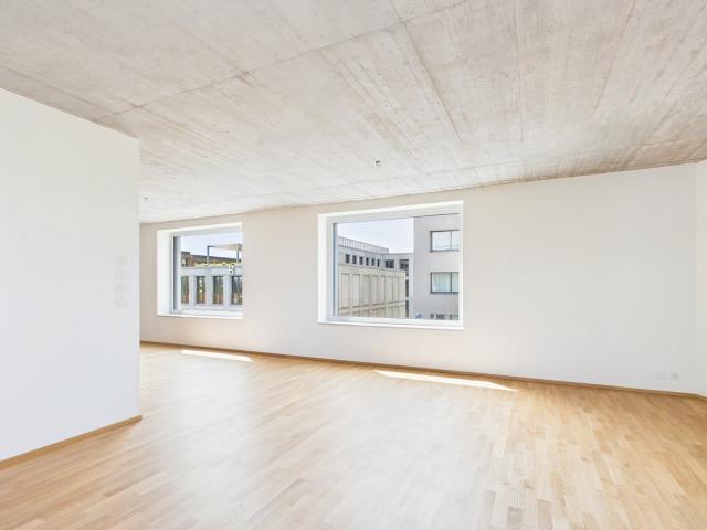 Apartment mieten in Grossbasel, Basel