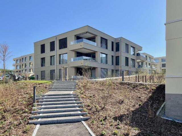 Apartment mieten in Birmensdorf (ZH), Bezirk Dietikon