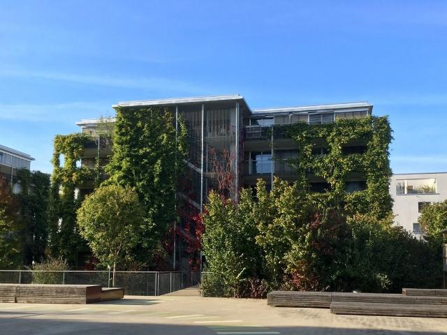 Apartment mieten in Bülach, Zürich