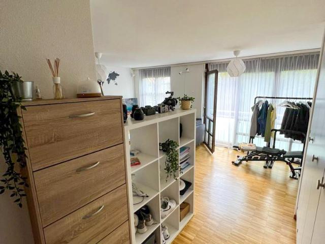 Apartment mieten in Ebikon, Lü