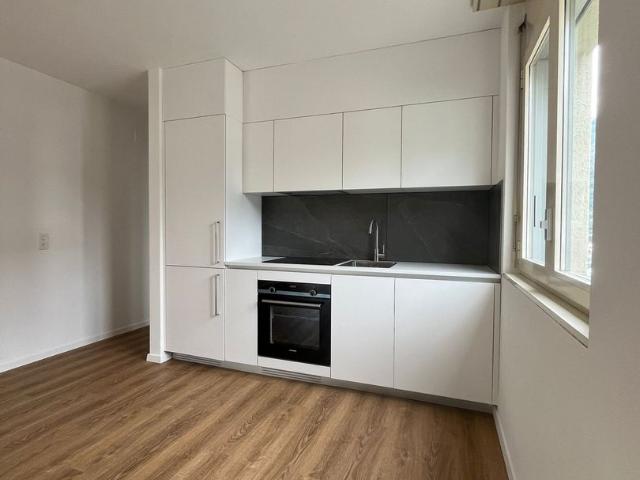 Apartment mieten in Bellinzona, Tessin