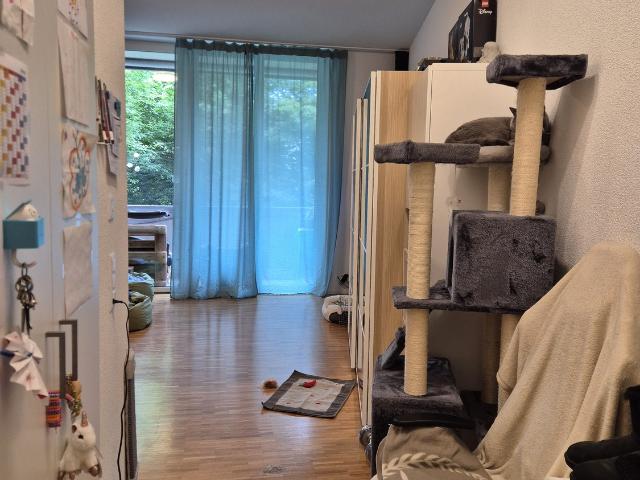 Apartment mieten in Opfikon, Zürich