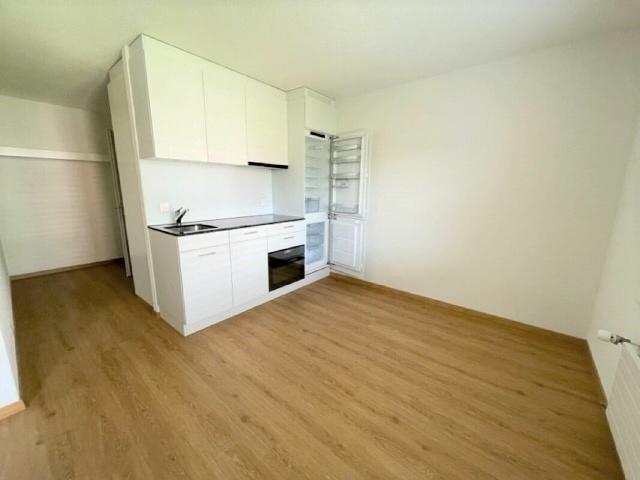 Apartment mieten in Lü