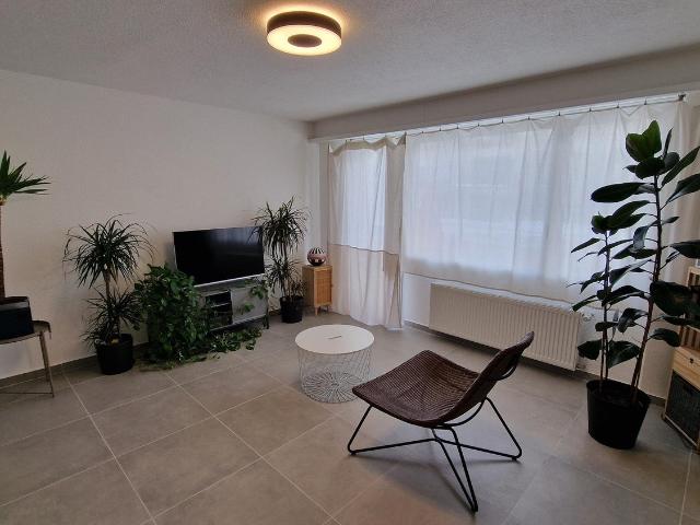 Apartment mieten in Menziken, Aargau