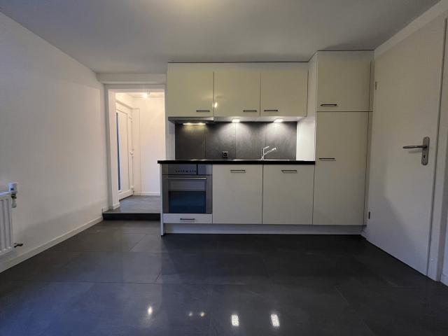 Apartment mieten in Moudon, Waadt