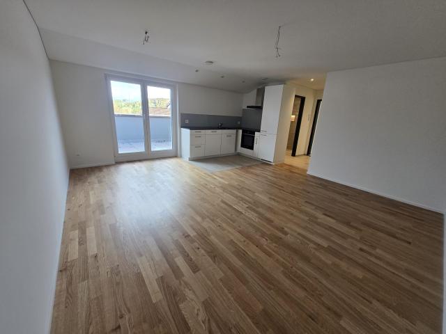 Apartment mieten in Mülligen, Aargau