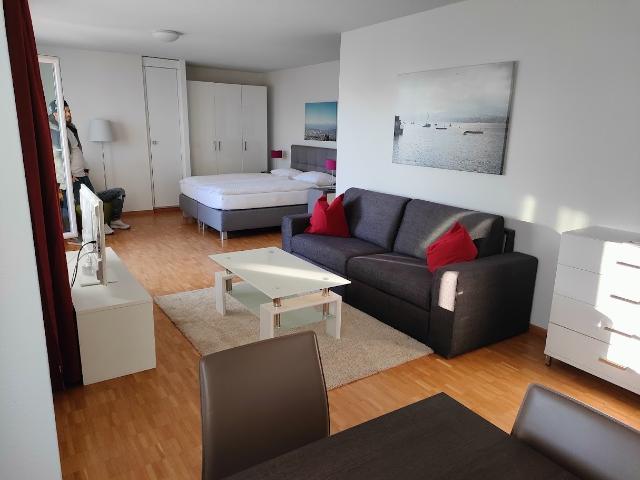 Apartment mieten in Oberengstringen, Bezirk Dietikon