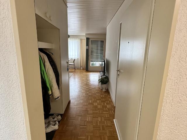 Apartment mieten in Richterswil, Bezirk Horgen